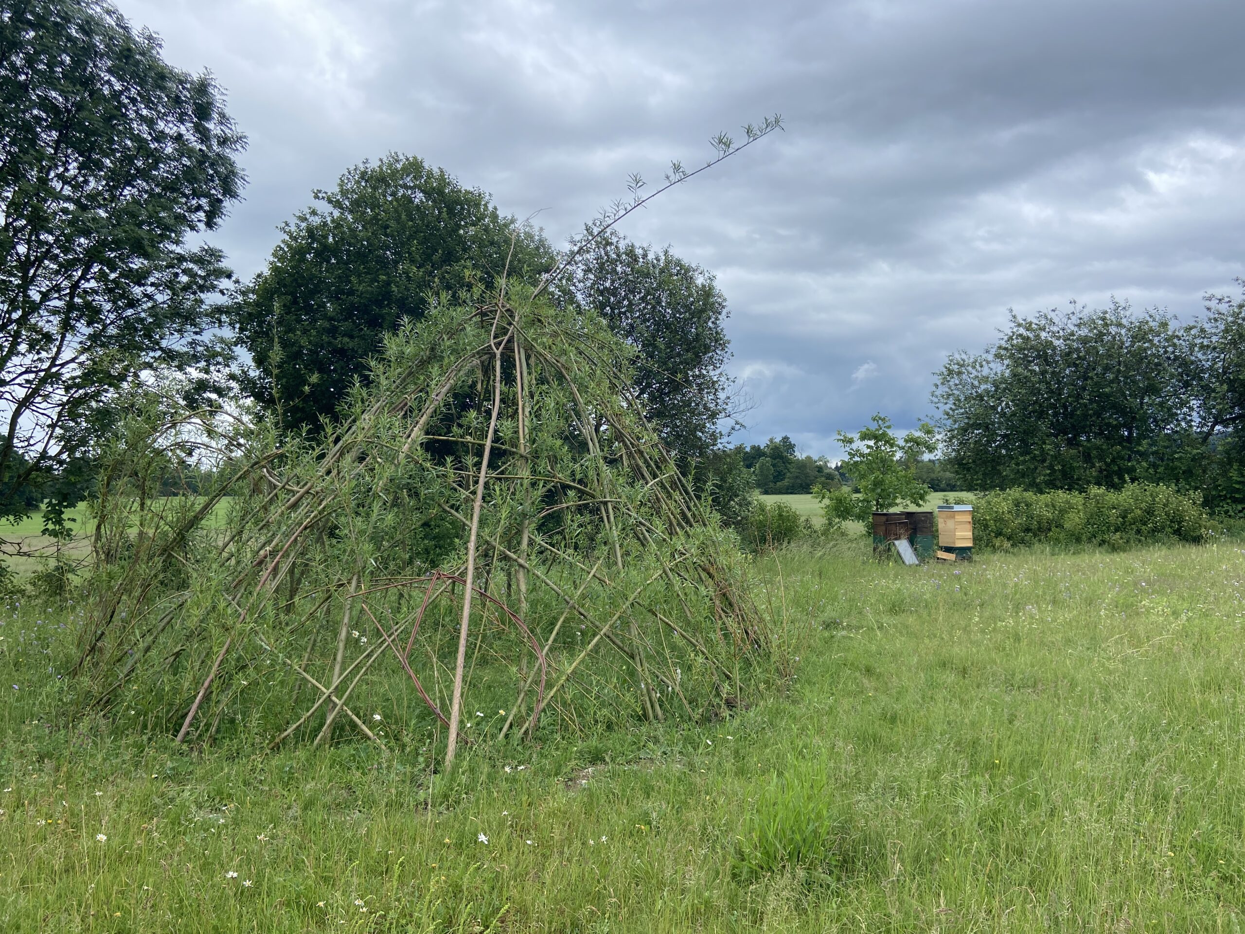 Weidenhaus und Bienen an der Freien Waldorfschule Linzgau